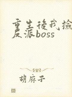 重生后我捡到了反派boss