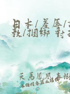 日本/羞辱/调教/捆绑 对折