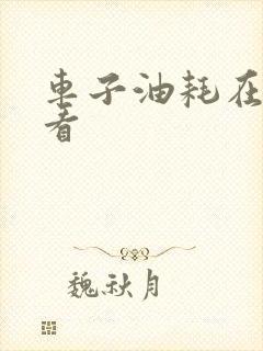 车子油耗在哪里看