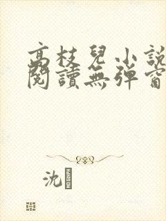 高枝儿小说免费阅读无弹窗