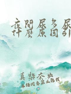 夜间尿多尿频是什么原因引起的男