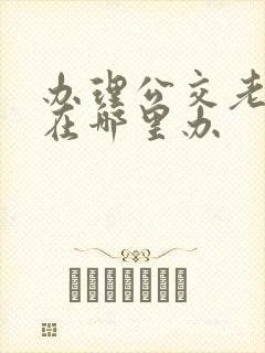 办理公交老年卡在哪里办