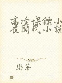 高冷保镖小姐夜夜哄我小说免费阅读