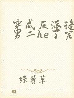 穿成反派后我和男二he了完整版