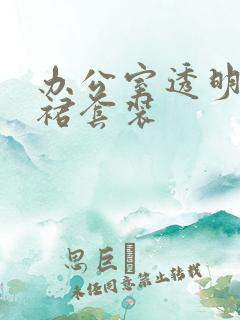 办公室透明半身裙套装