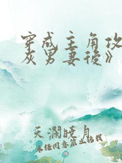 穿成主角攻的炮灰男妻后》