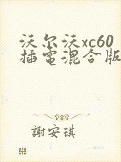 沃尔沃xc60插电混合版价格