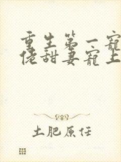 重生第一宠,大佬甜妻宠上天