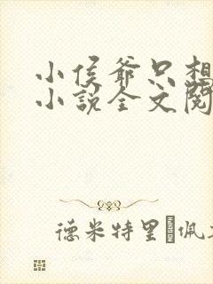 小侯爷只想跑路小说全文阅读免费