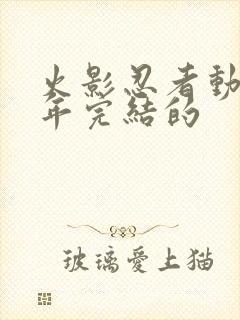 火影忍者动漫哪年完结的