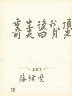 重生后我顶替了前夫白月光的结局