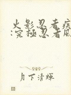 火影忍者疾风传:究极忍者风暴遗产