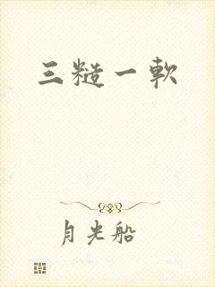 三糙一软