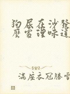 狗尿在沙发上怎么处理味道