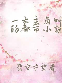 一本主角叫叶欢的都市小说