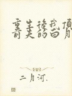 重生后我顶替了前夫的白月光