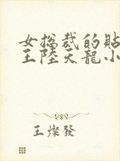 女总裁的贴身兵王陆天龙小说