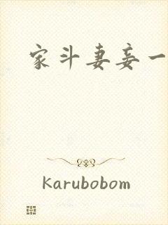 家斗妻妾一家欢