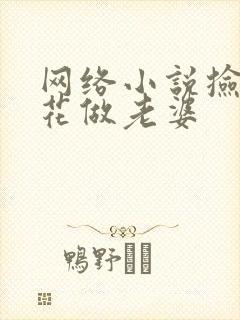 网络小说捡个校花做老婆