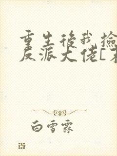 重生后我捡到了反派大佬[末世]