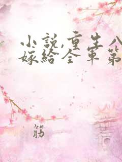 小说,重生八零嫁给全军第一硬汉