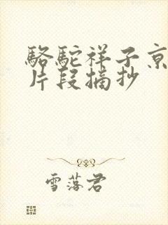 骆驼祥子京味儿片段摘抄