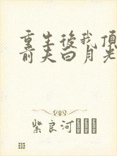 重生后我顶替了前夫白月光.