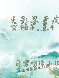 火影忍者疾风传究极风暴4