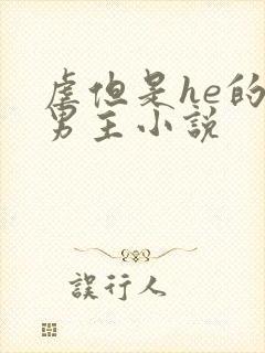 虐但是he的双男主小说