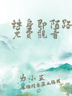 转身即陌路短剧免费观看