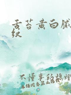 舌苔黄白腻有裂纹