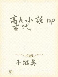 高h小说 np 古代