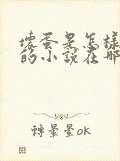 坏蛋是怎样炼成的小说在哪里可以看