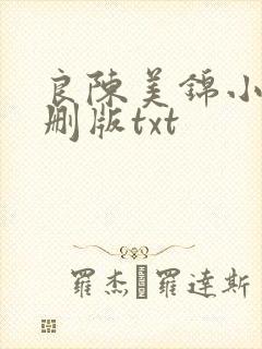 良陈美锦小说未删版txt