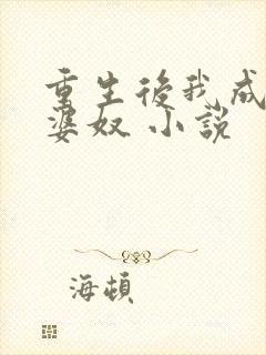 重生后我成了老婆奴 小说