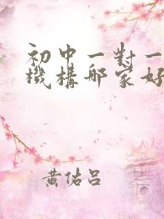 初中一对一辅导机构哪家好