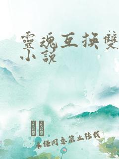 灵魂互换双男主小说