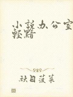 小说办公室隐婚轻黯