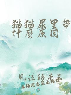 猫猫尿里带血是什么原因