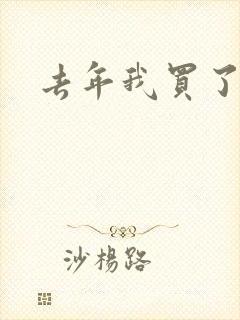 去年我买了个表