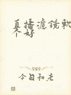 直播滤镜软件哪个好