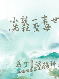 小说一末世降临,先杀圣母