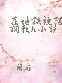 在地铁被陌生人调教h小说