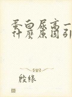 蛋白尿高一般是什么原因引起的