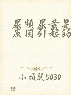 尿频尿黄是什么原因引起的