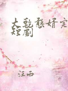 大乾憨婿完整版短剧