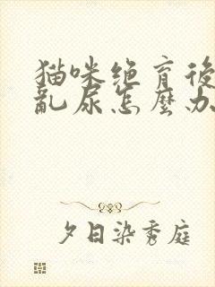 猫咪绝育后还是乱尿怎么办