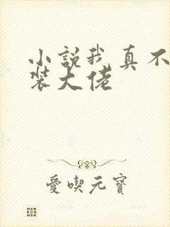 小说我真不是女装大佬