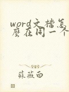 word文档怎么在同一个窗口打开