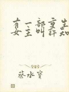 有一部重生小说女主叫许知意